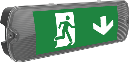 Exit Box and Hanging Exit Signs