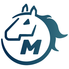MagCharge