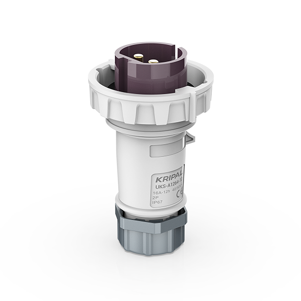 Switchtec IND-322VP-IP67 32A 2P 24V Plug IP67 Violet