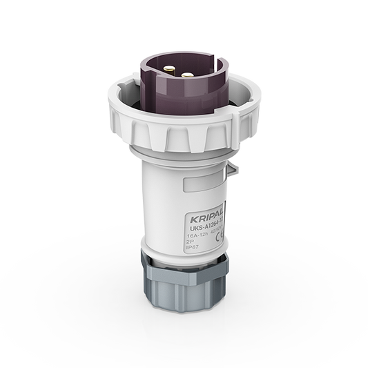 Switchtec IND-322VP-IP67 32A 2P 24V Plug IP67 Violet