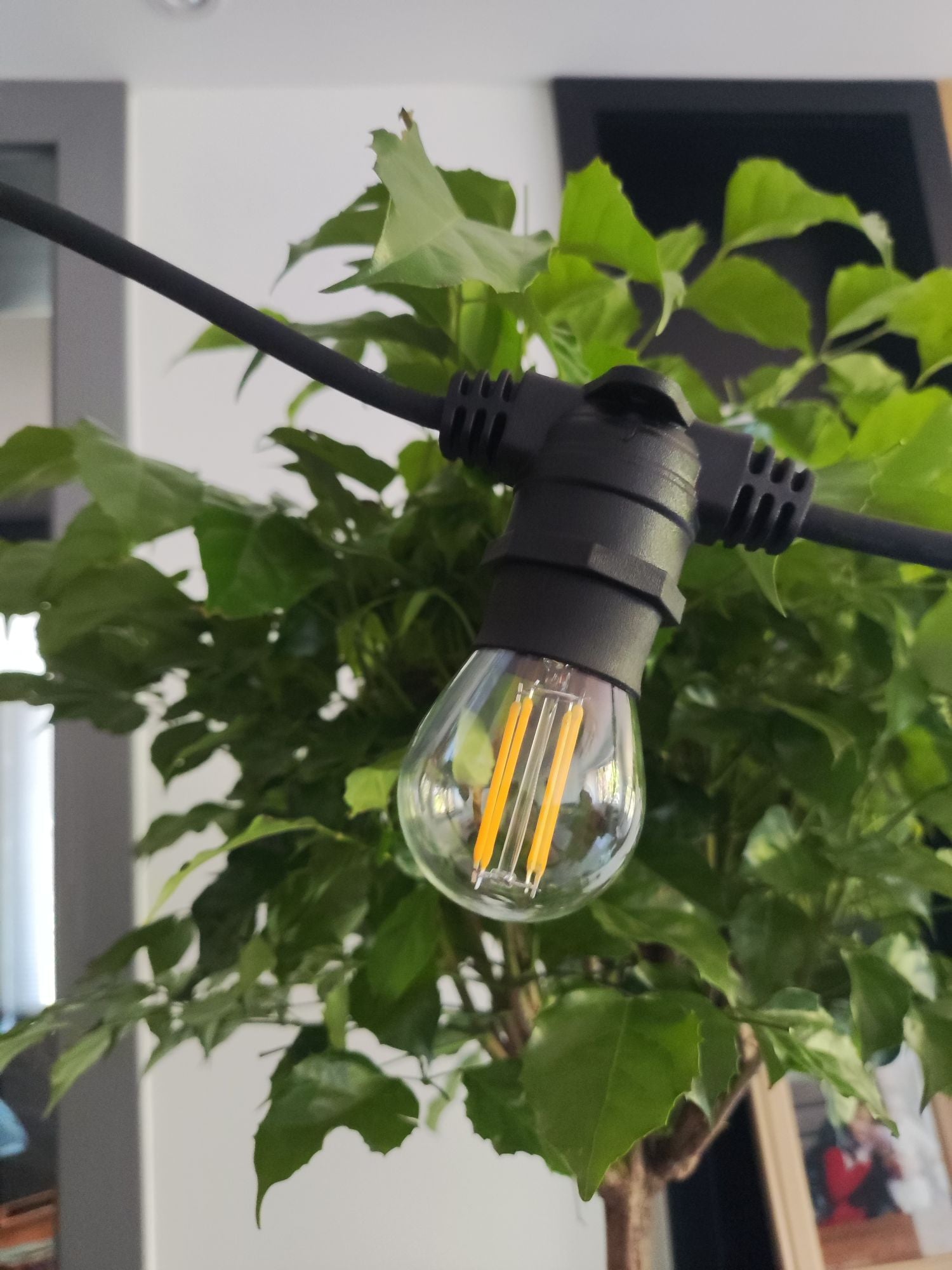 Forum ZN-41106 Hardy 20 x E27 11.4m Festoon IP44 Black