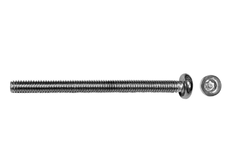 Deligo BPRT450 4mm x 50mm T20 Stainless Steel Pan Head Security Screws (100)