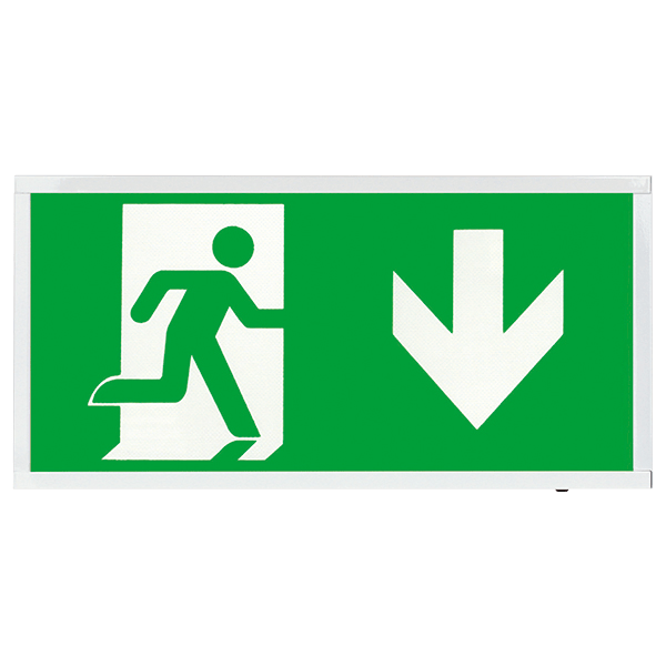 ESP D520DWH Duceri 4W LED Maintained Self-Test Emergency Exit Sign with Down Legend 5500K IP20 White