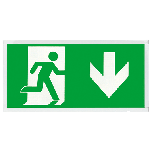 ESP D520DWH Duceri 4W LED Maintained Self-Test Emergency Exit Sign with Down Legend 5500K IP20 White
