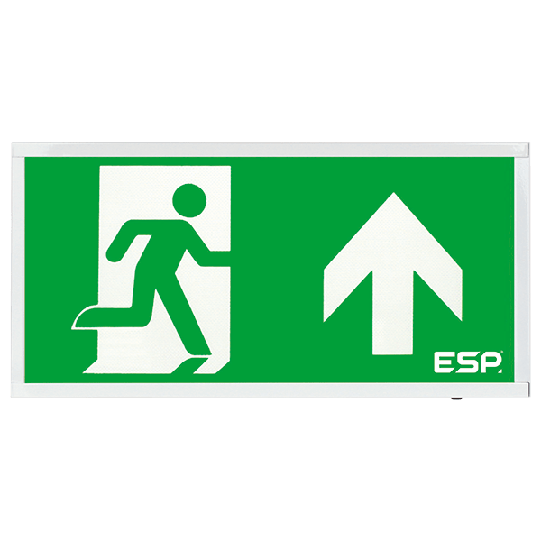 ESP D520UWH Duceri 4W LED Maintained Self-Test Emergency Exit Sign with Up Legend 5500K IP20 White