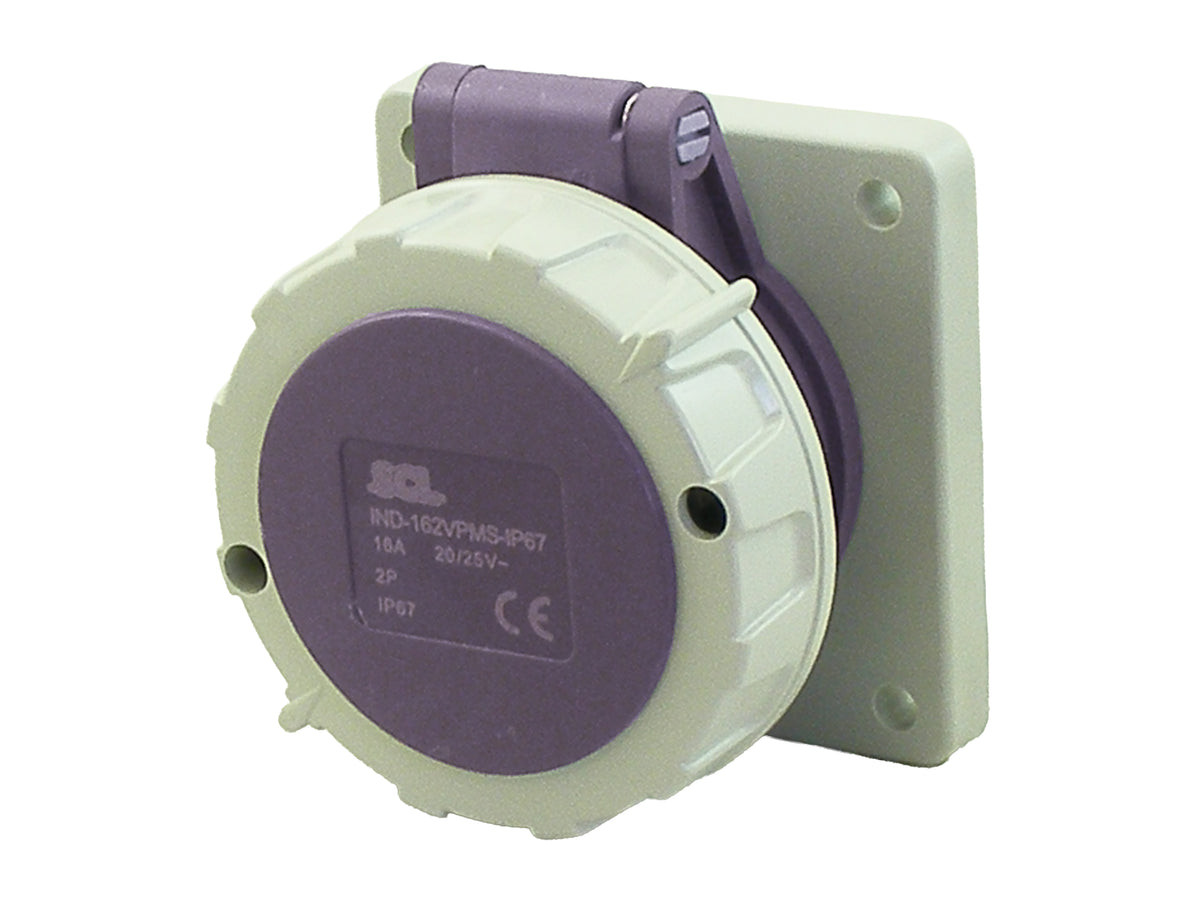 Switchtec IND-162VPMS-IP67 16A 2P 24V Panel Mount Socket IP67 Violet