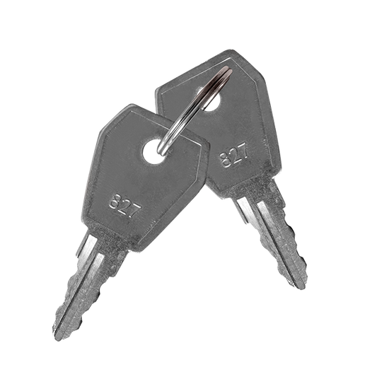 ESP MAGISORPK MagFire Spare Keys for Isolation Switch 2pk