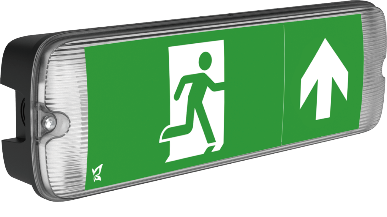 Kosnic MUL0105-BLK/DA Mulu Dali 5W Dual Mode LED Emergency Bulkhead 6500K IP65  Black