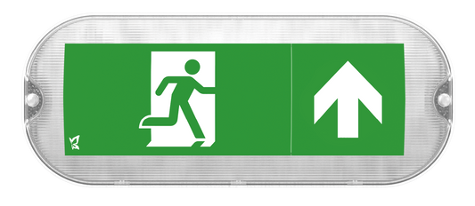 Kosnic MULM01/SST Mulu Mini Duo 5W Dual Mode LED Emergency Bulkhead 6500K IP65 White