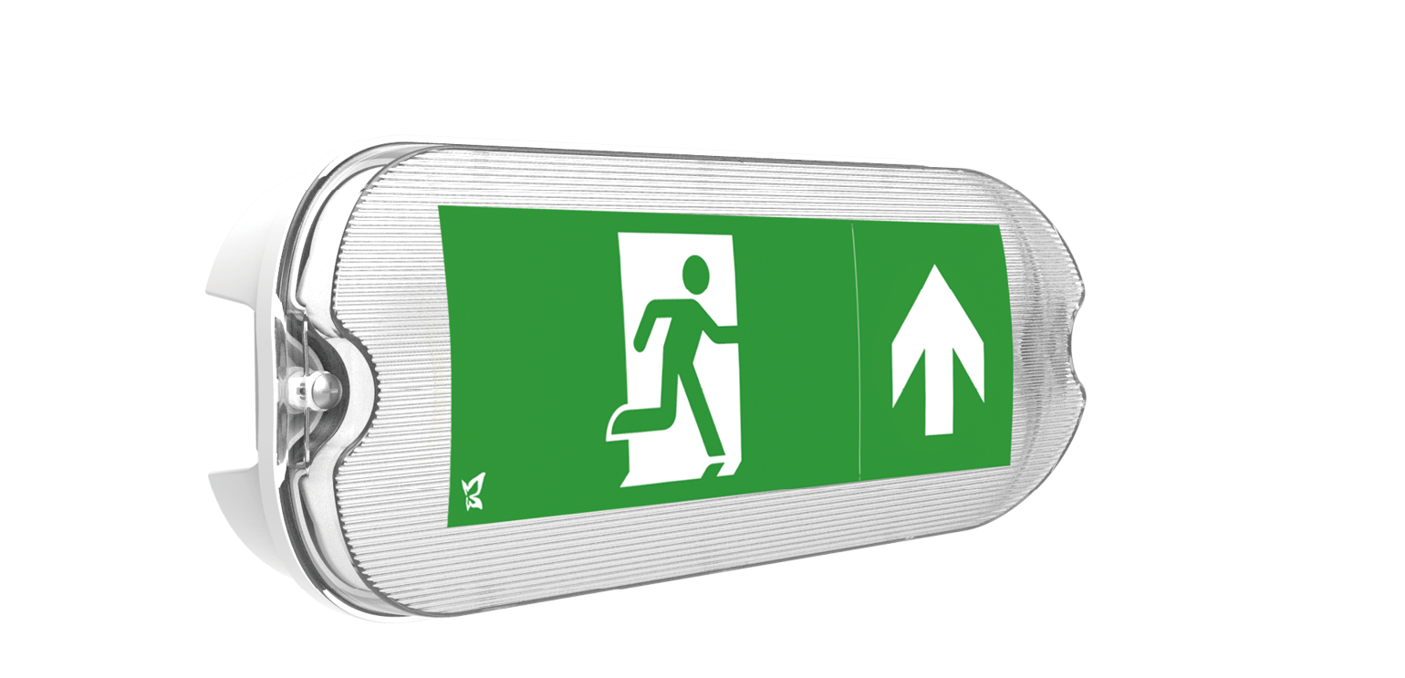 Kosnic MULM01/SST Mulu Mini Duo 5W Dual Mode LED Emergency Bulkhead 6500K IP65 White