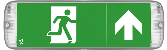 Kosnic MUL0105/DA Mulu Dali 5W Dual Mode LED Emergency Bulkhead 6500K IP65  White