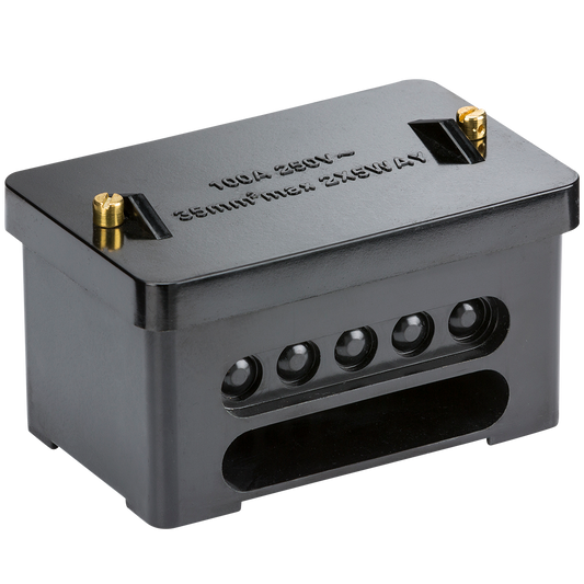 Knightsbridge SNEB2 100A 5 Way Double Pole Henley Block